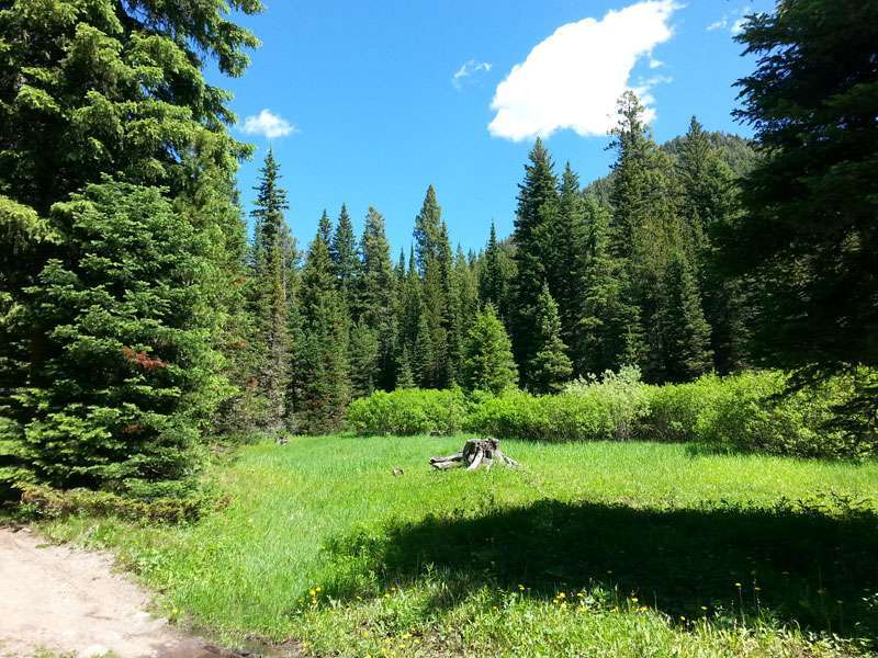 Bear Creek Campground