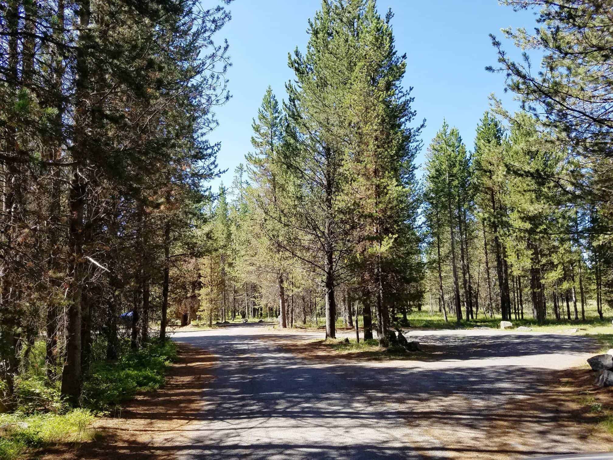 Big Springs Campground