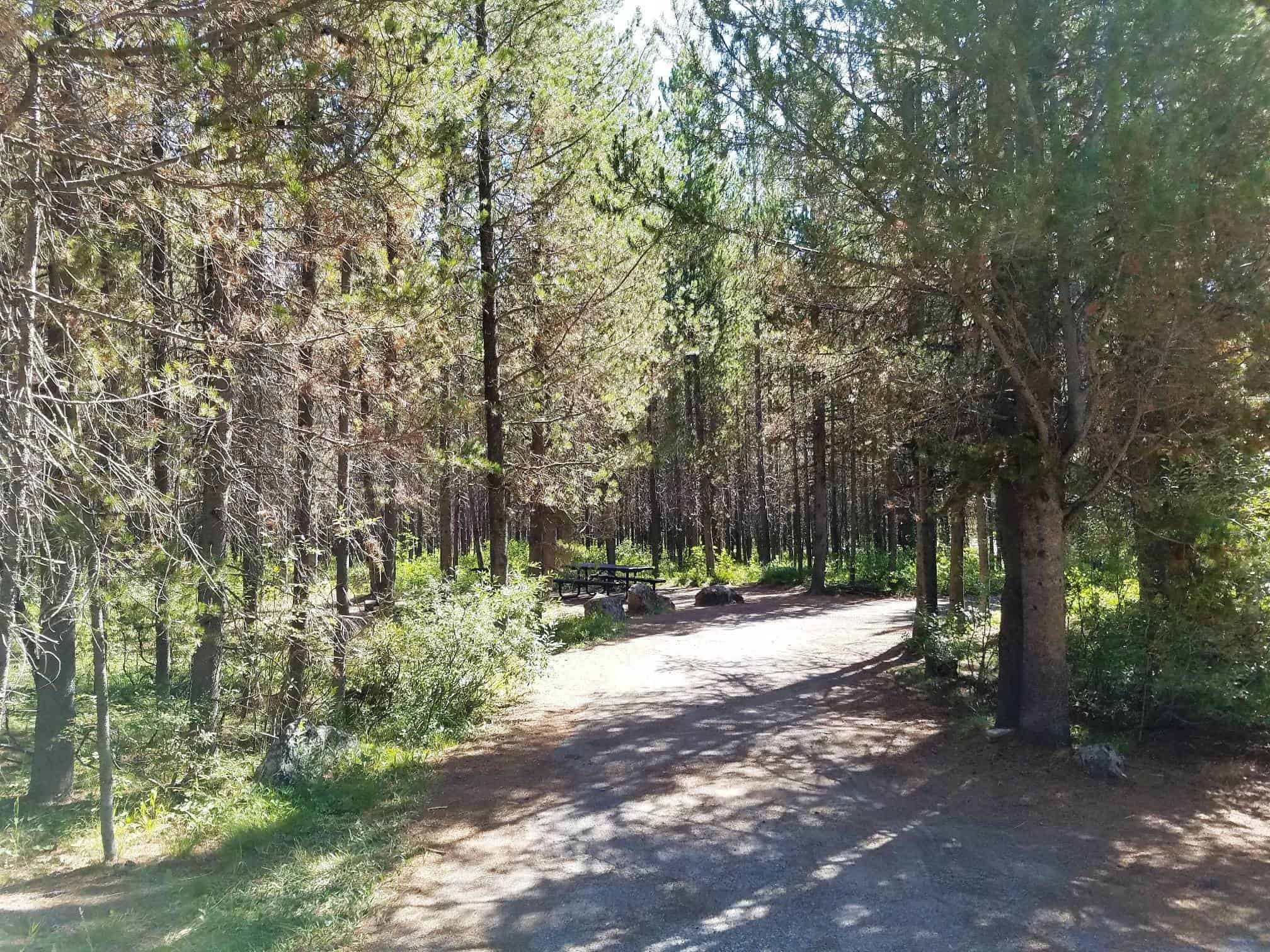 Big Springs Campground