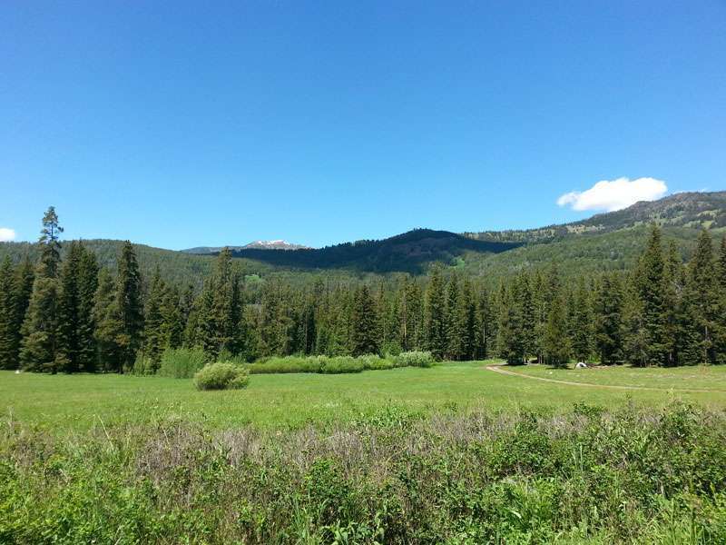 Timber Camp Campground