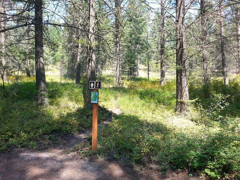West Shore Flathead Lake State Park