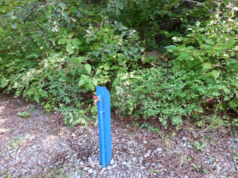 Yellow Bay State Park Campground