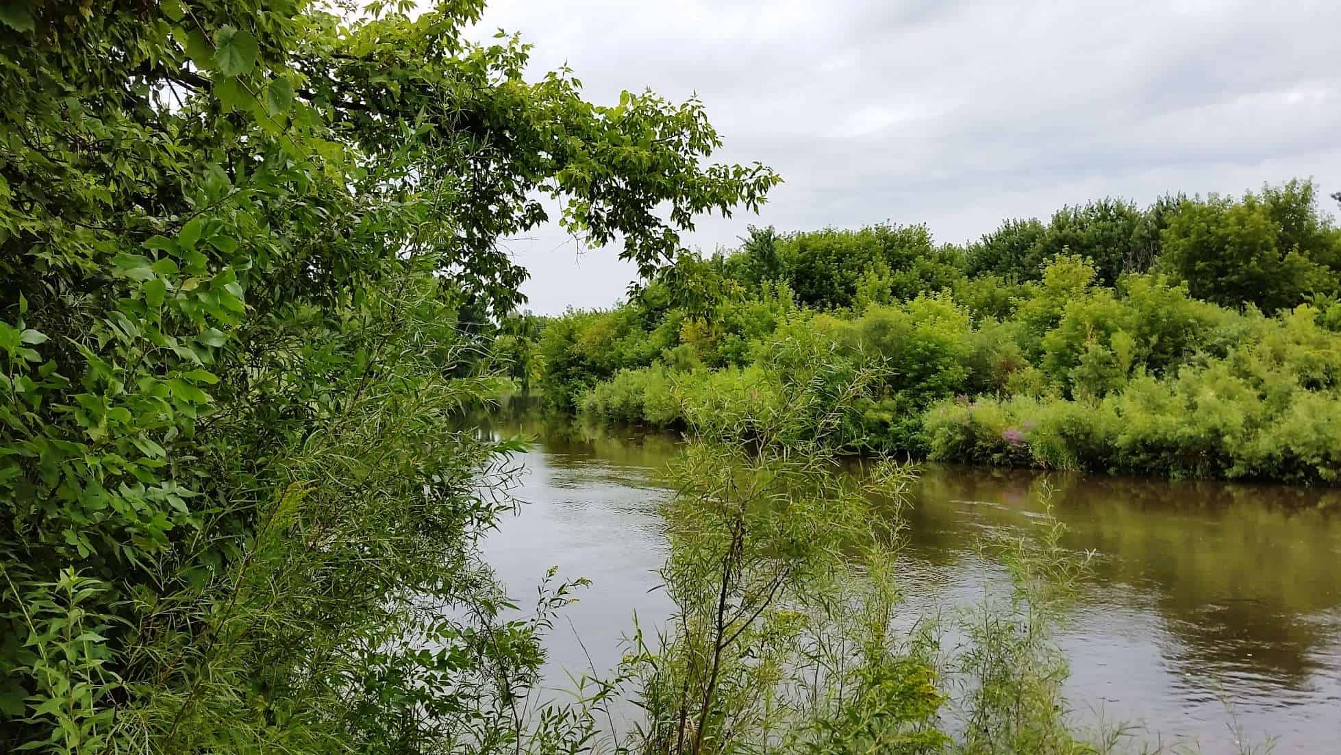 Ambush Park Campground