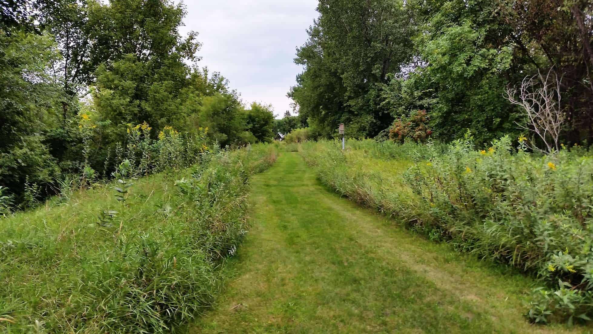 Ambush Park Campground