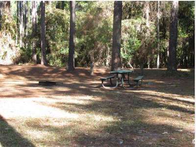 Rodman Campground