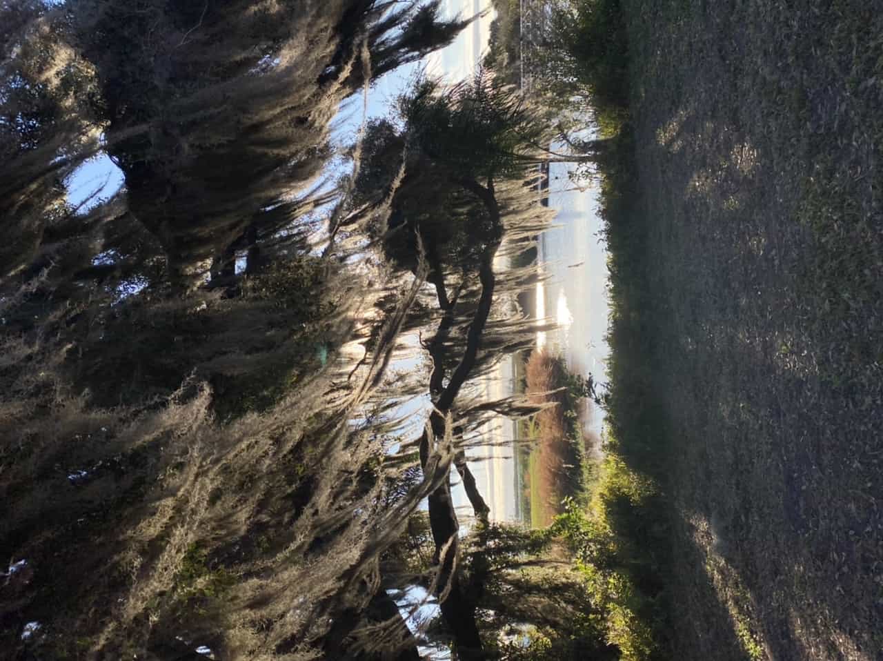 Coleman Landing Campground at Shady Oaks Recreation Area