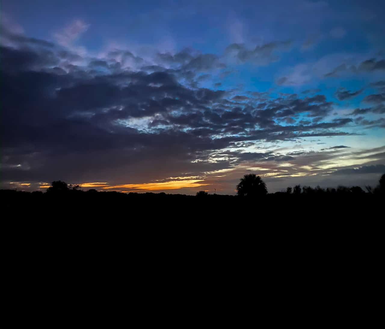 Coleman Landing Campground at Shady Oaks Recreation Area