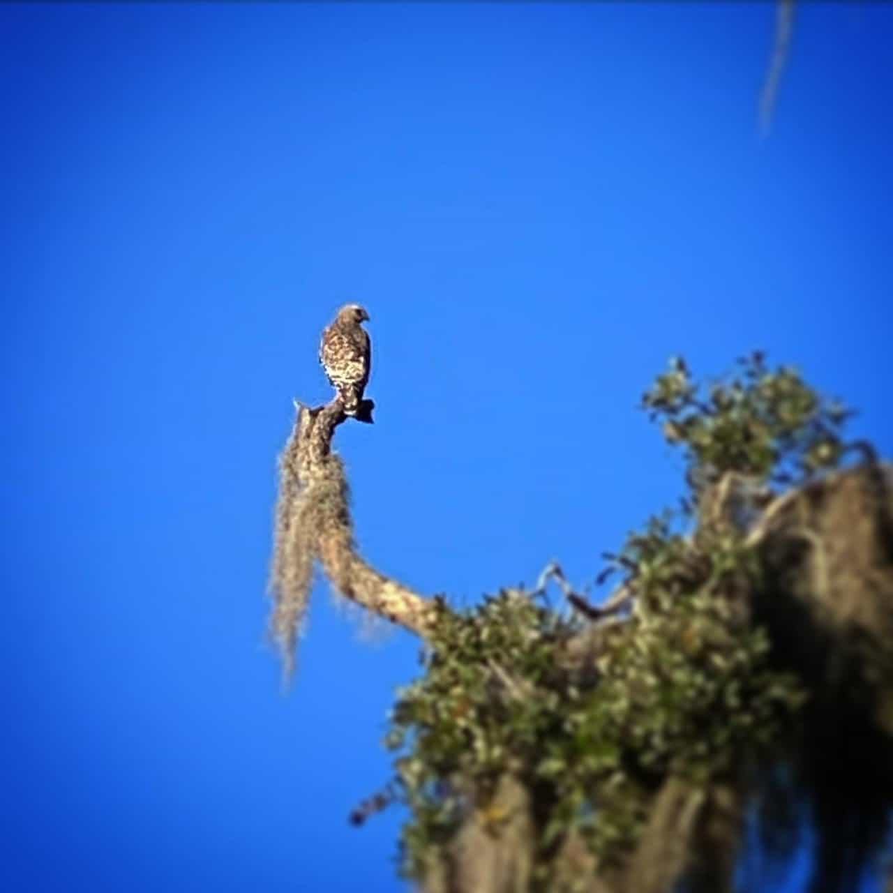 Coleman Landing Campground at Shady Oaks Recreation Area