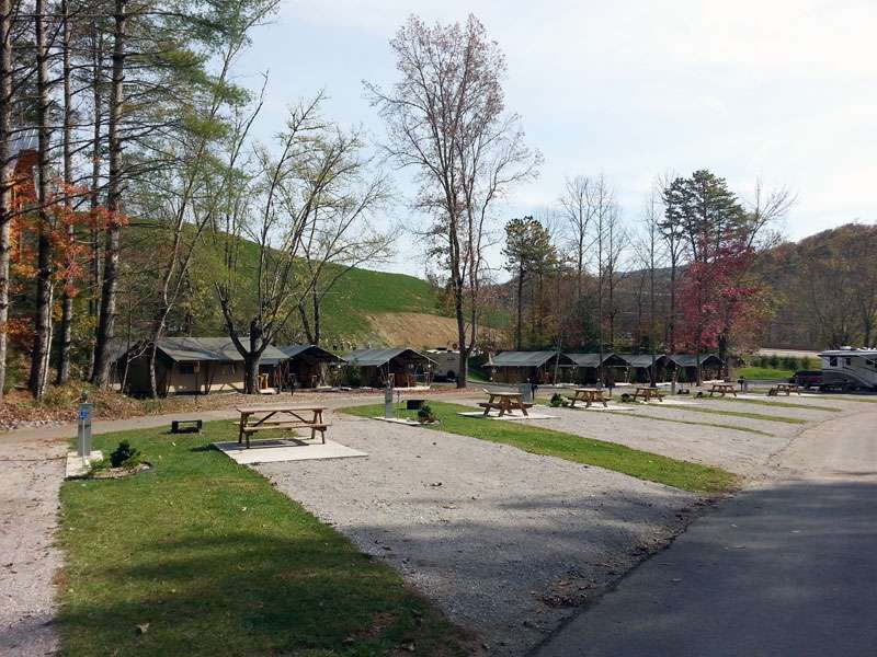 Camp LeConte Luxury Outdoor Resort