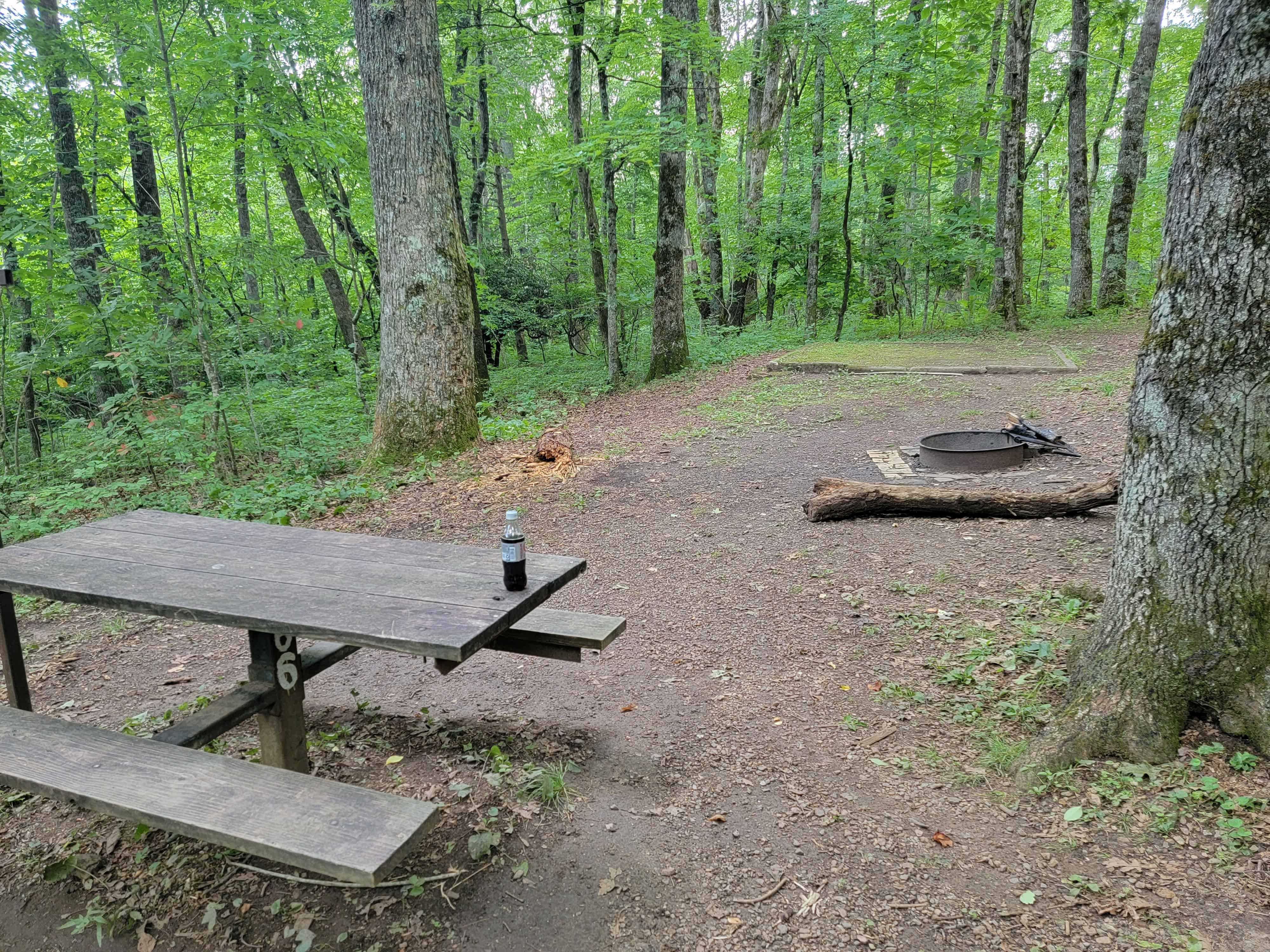 Crabtree Falls Campground