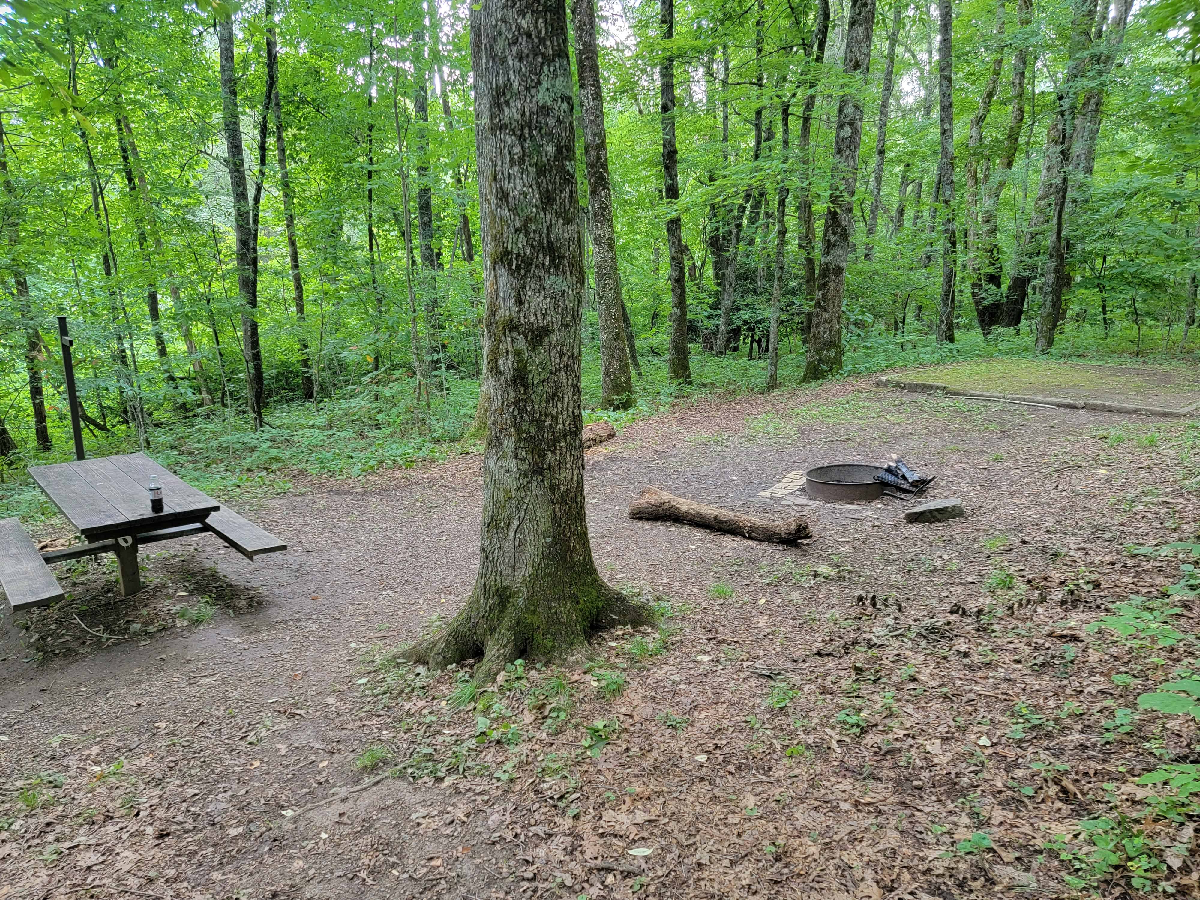 Crabtree Falls Campground