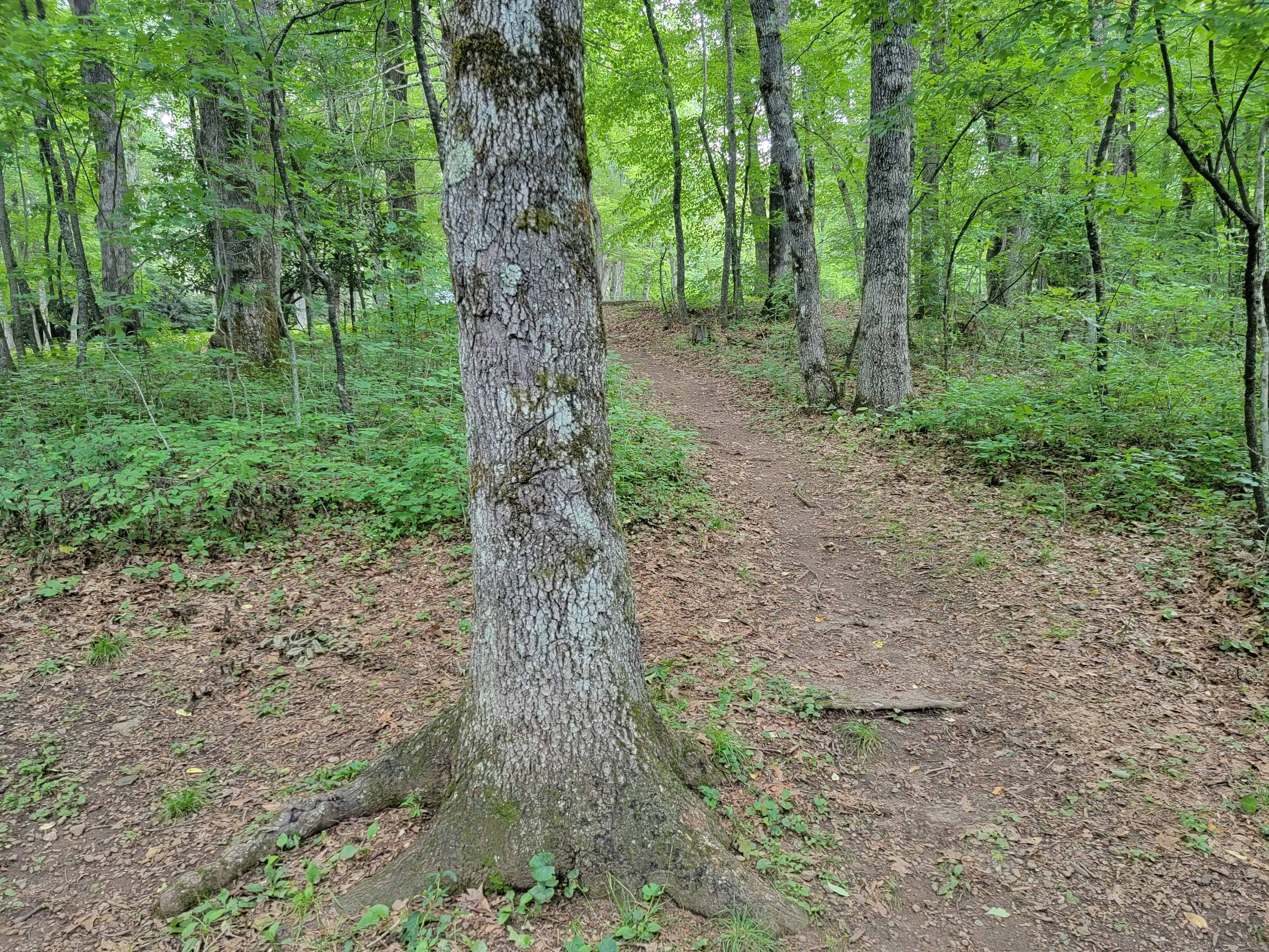 Crabtree Falls Campground