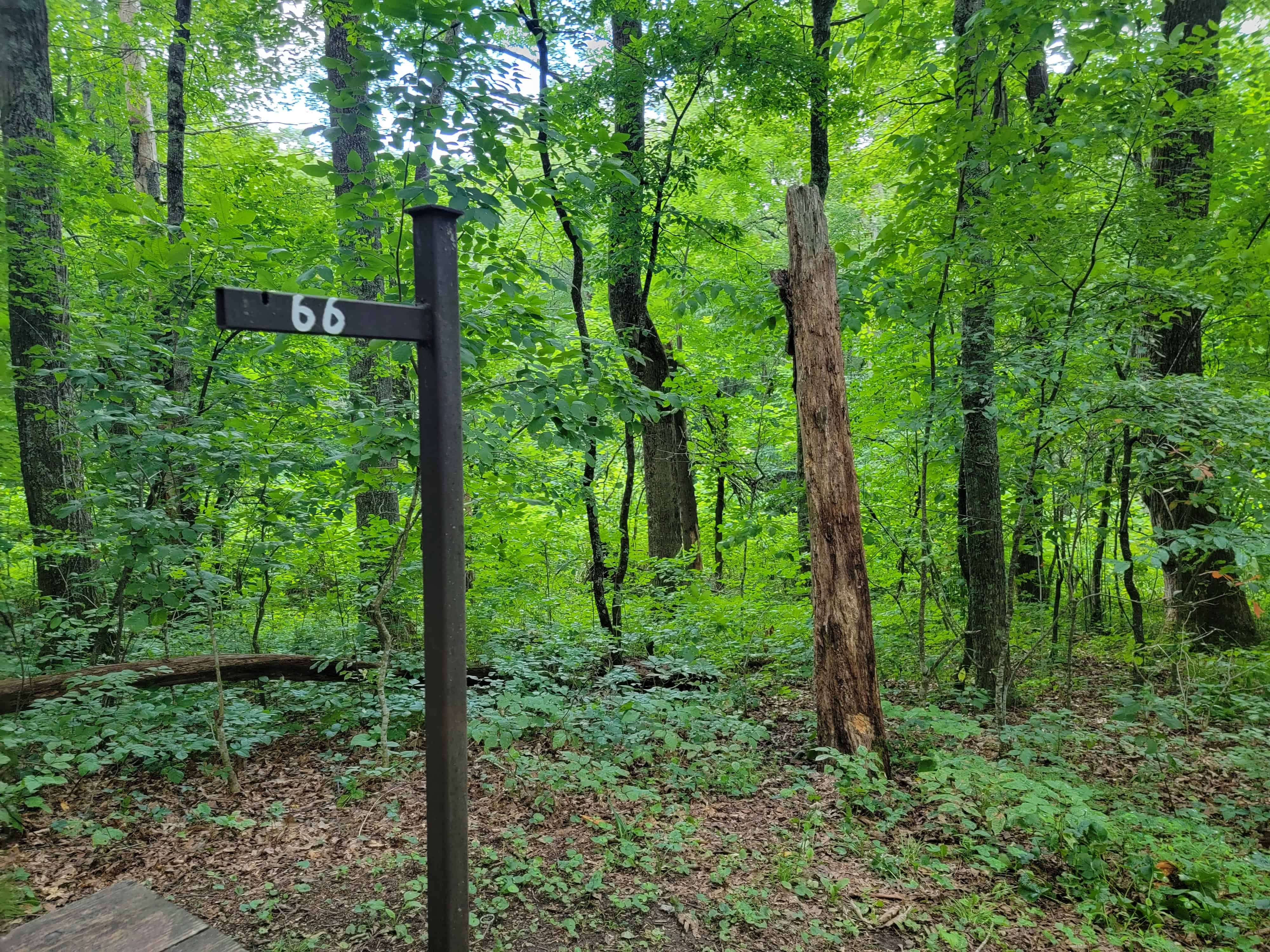 Crabtree Falls Campground