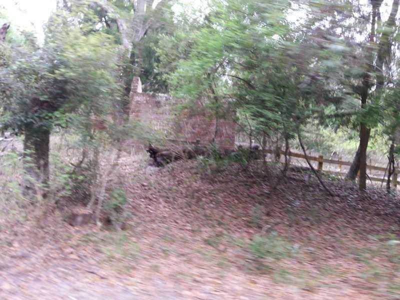 Fort Clinch State Park Atlantic Beach Campground