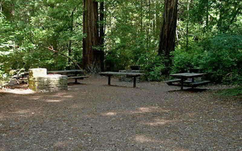 Memorial Park - Azalea Flat and Sequoia Flat Campground