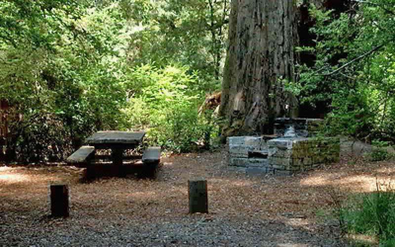 Memorial Park - Azalea Flat and Sequoia Flat Campground