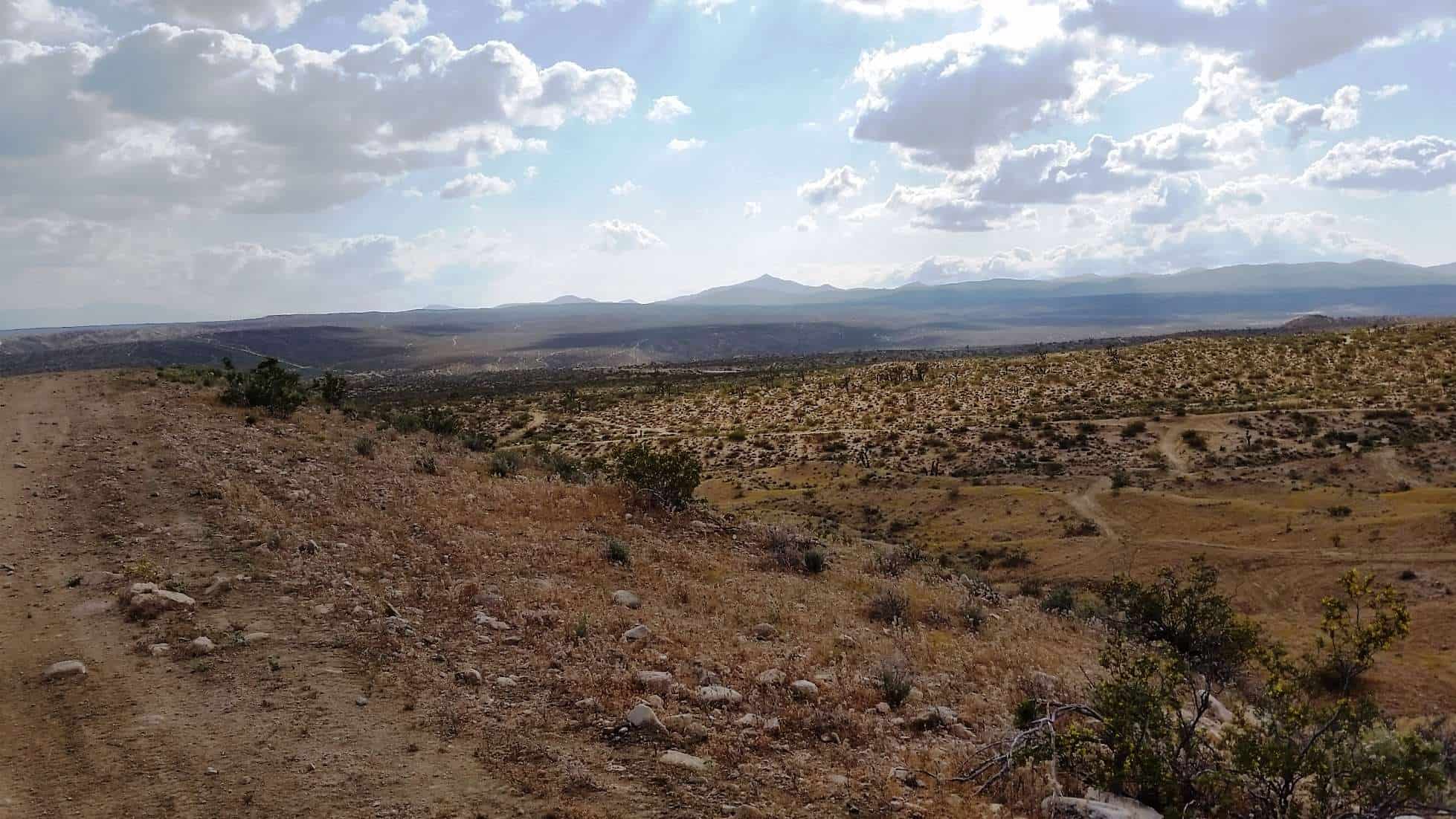 Dove Springs Off-Highway Vehicle Area Primitive Camping