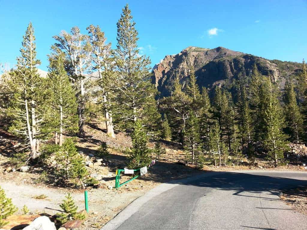 Ellery Lake Campground