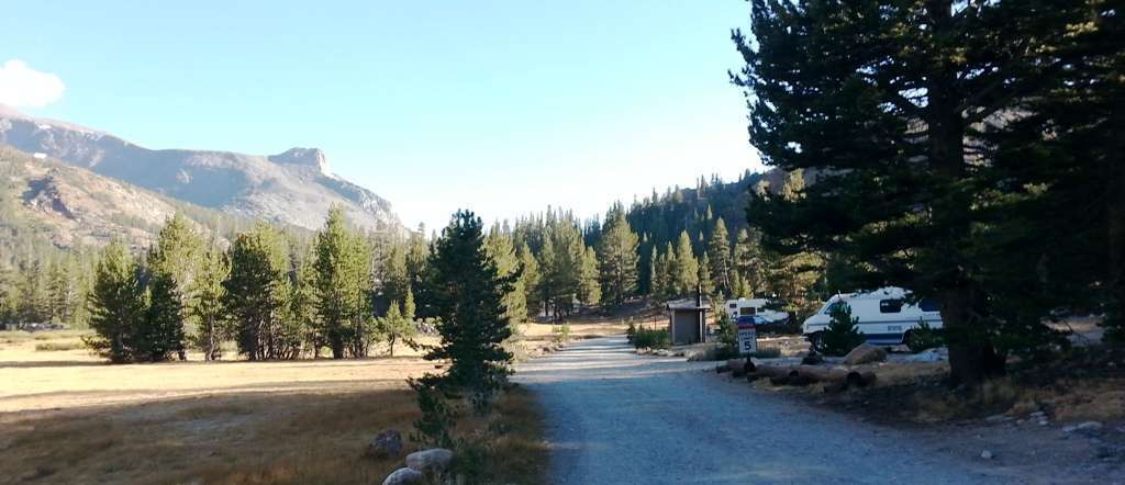 Junction Campground