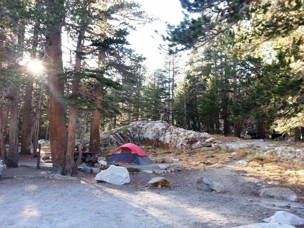 Junction Campground