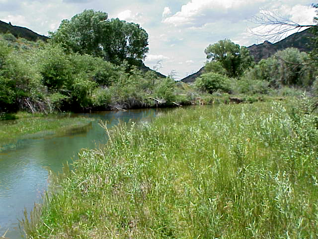 Spanish Fork River Park Campground