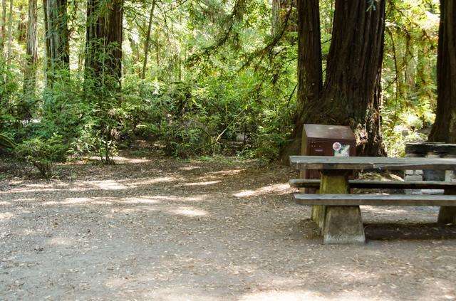 Memorial Park - Azalea Flat and Sequoia Flat Campground