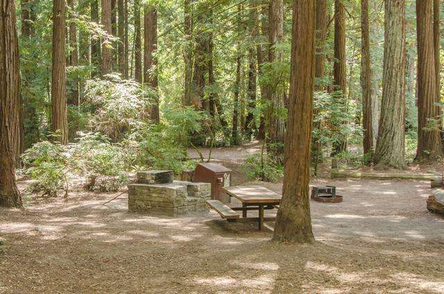 Memorial Park - Azalea Flat and Sequoia Flat Campground