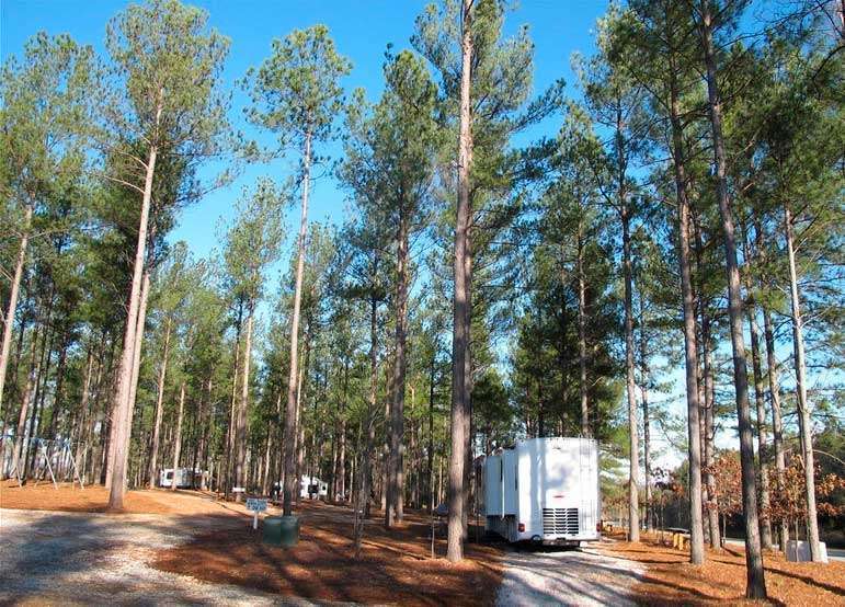 Forest Spring Family Campground