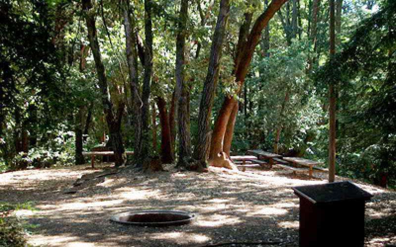 Huddart Park - Toyon Campground