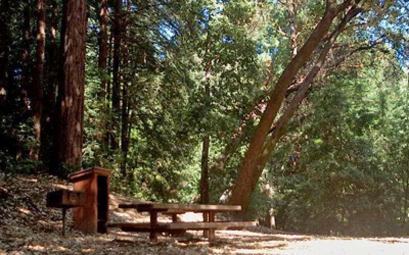 Huddart Park - Toyon Campground