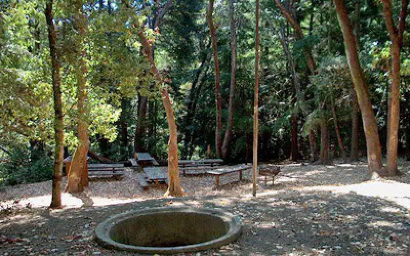 Huddart Park - Toyon Campground