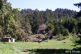 Glen Camp Point Reyes National Seashore