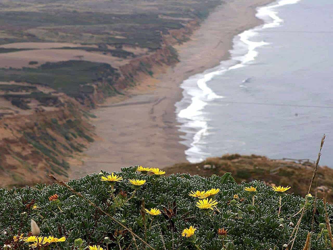 Coast Camp Point Reyes National Seashore