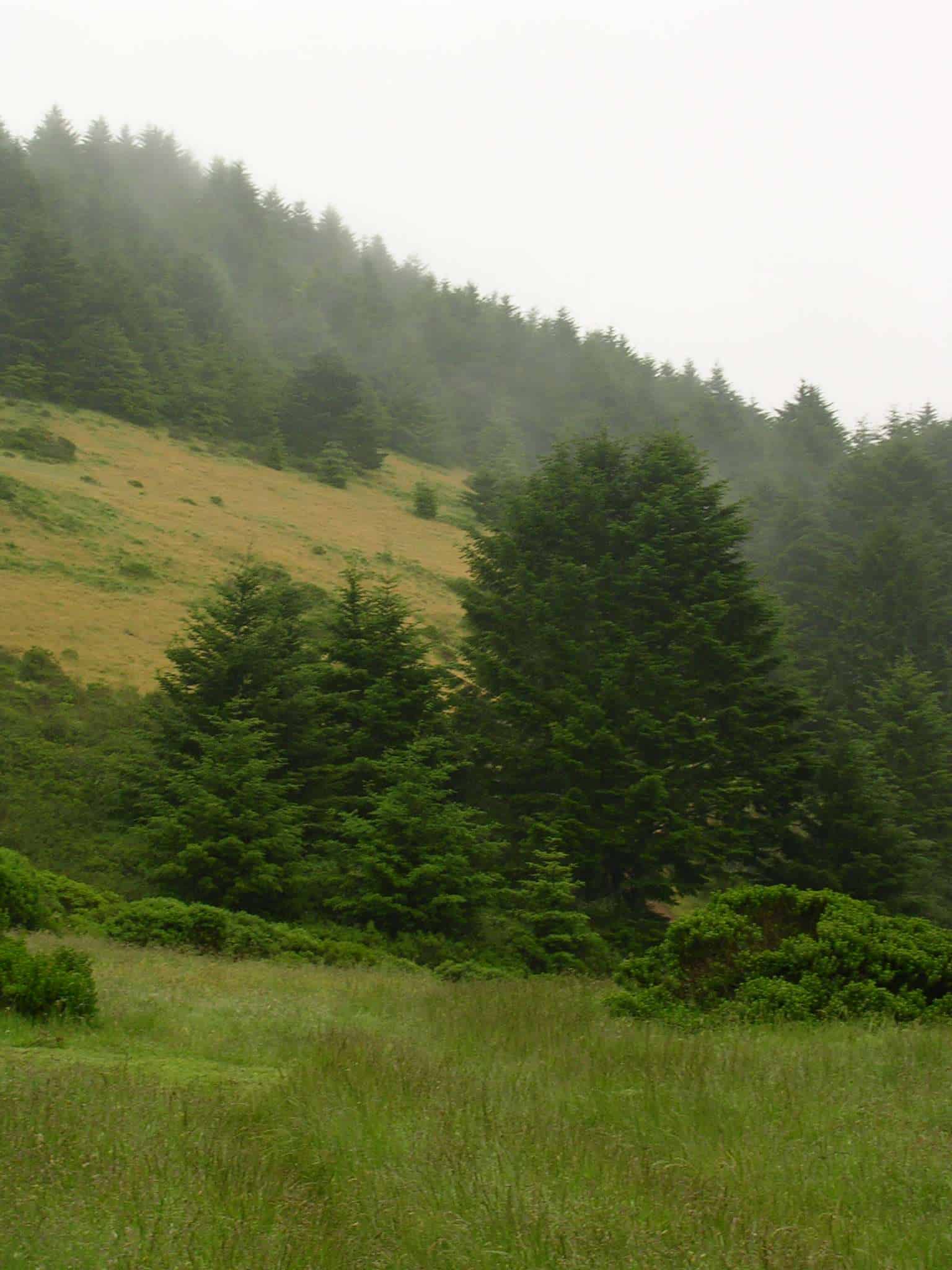 Sky Camp Point Reyes National Seashore
