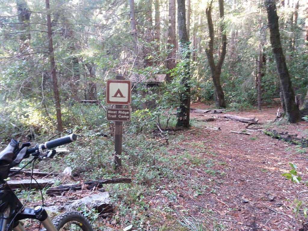 The Forest of Nisene Marks State Park West Ridge Trail Camp