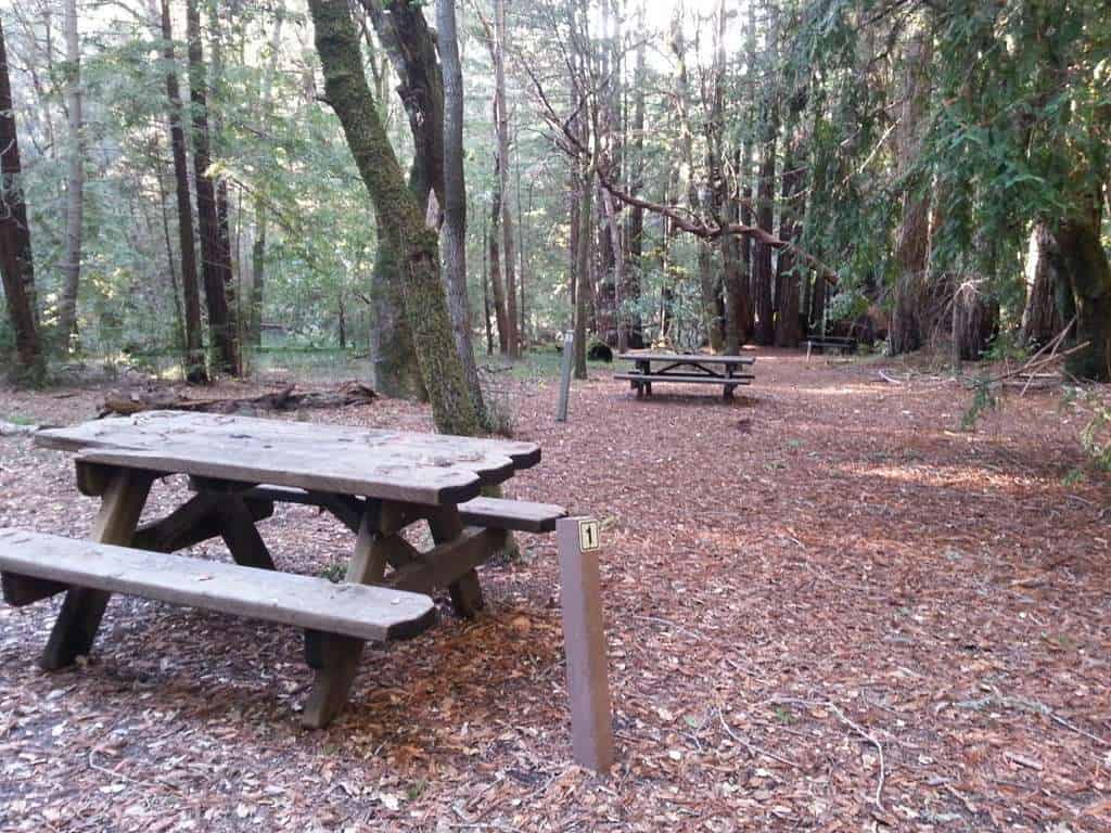 The Forest of Nisene Marks State Park West Ridge Trail Camp