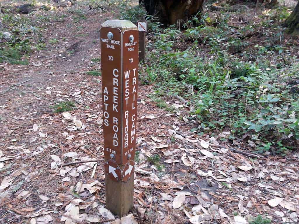 The Forest of Nisene Marks State Park West Ridge Trail Camp