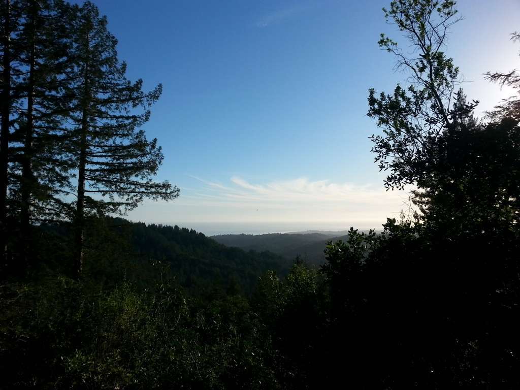 The Forest of Nisene Marks State Park West Ridge Trail Camp