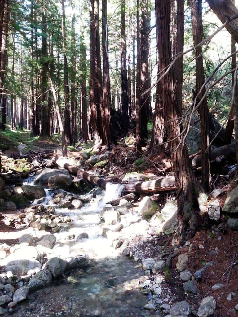 Limekiln State Park Campground