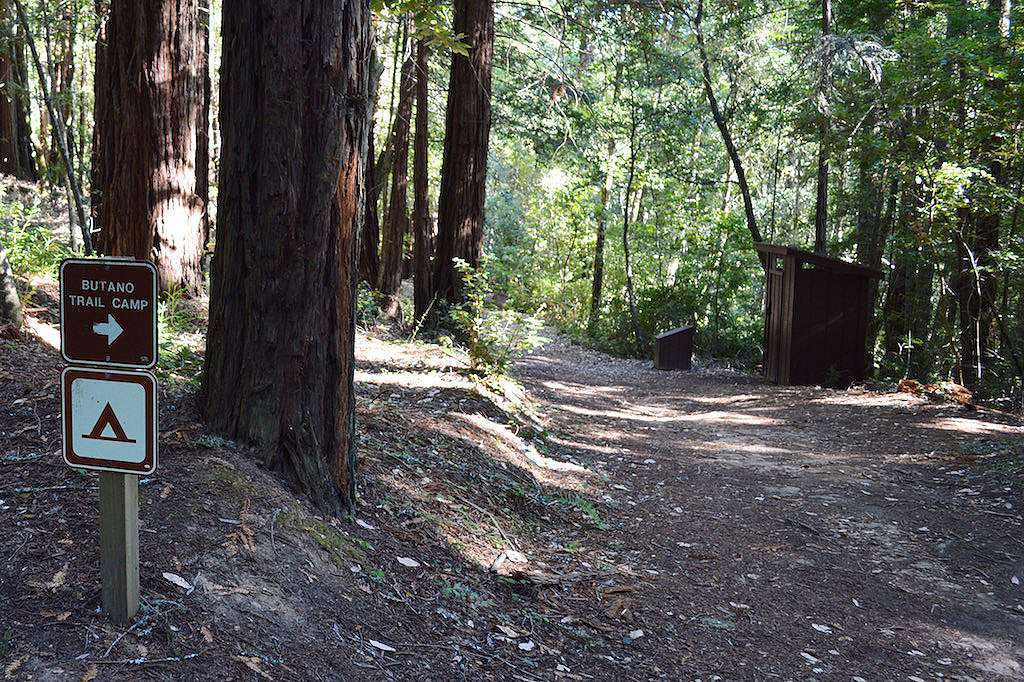 Butano State Park Ben Ries Campground