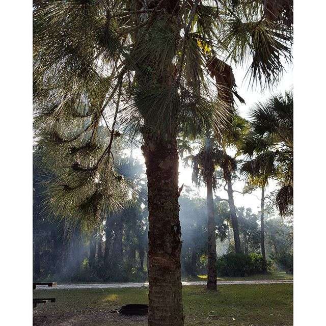 DuPuis Management Area Campsites