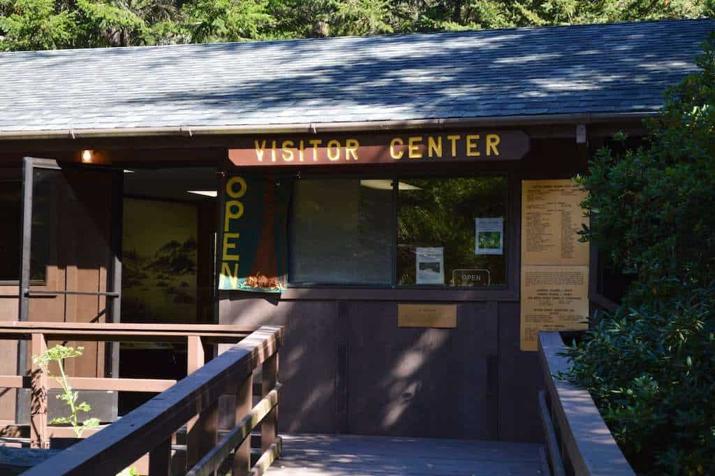 Butano State Park Ben Ries Campground