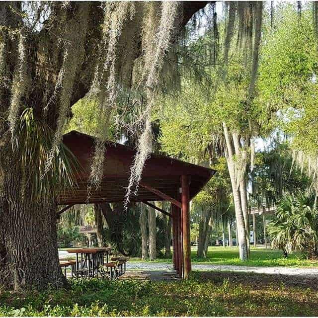 Hickory Hammock Wildlife Management Area