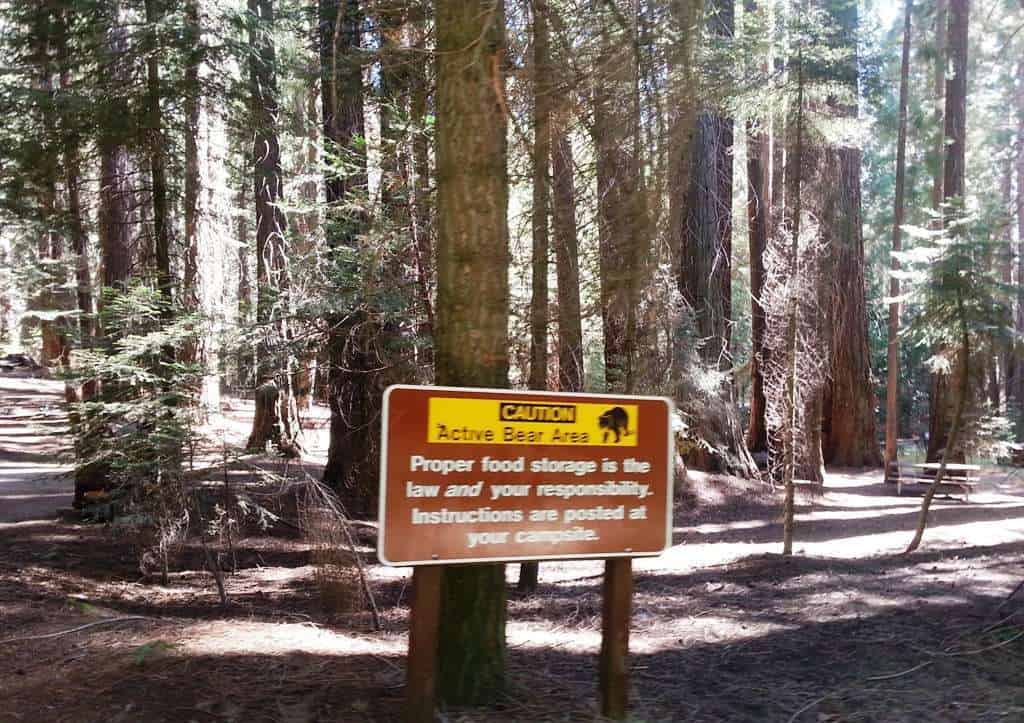 Atwell Mill Campground