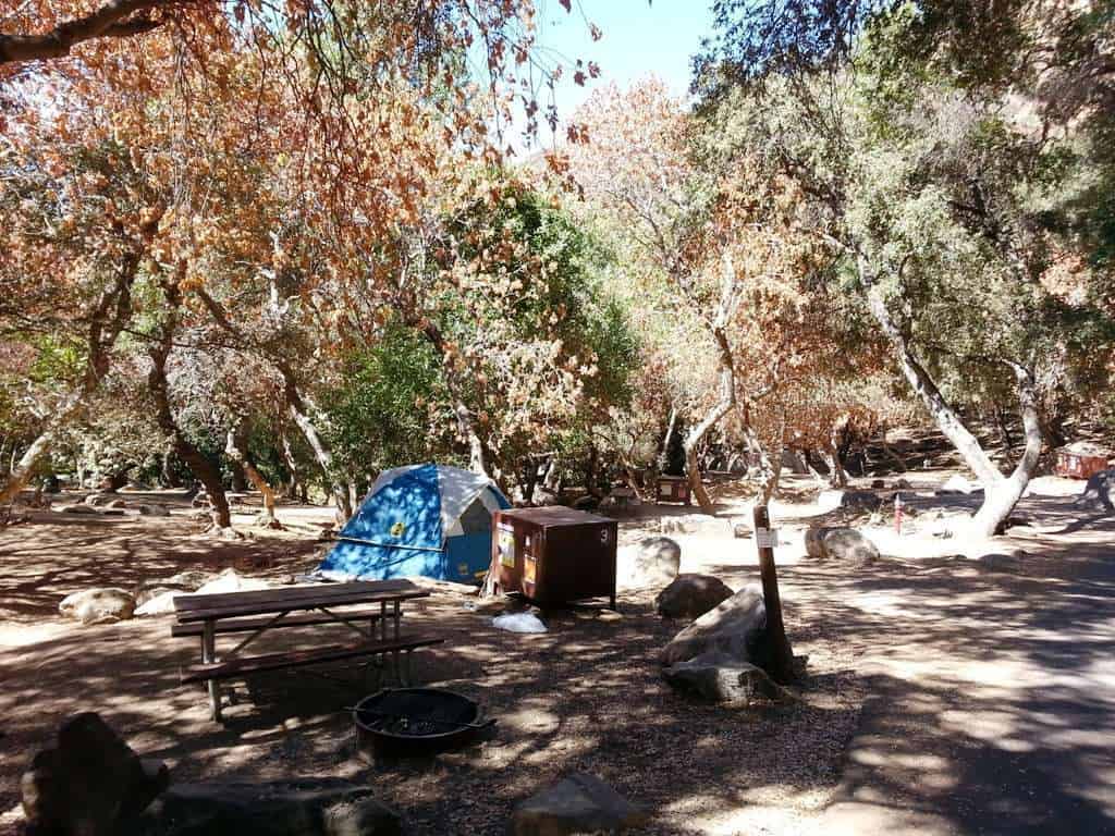 Buckeye Flat Campground