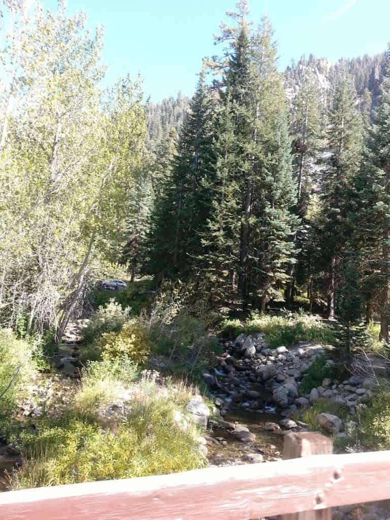 Cold Springs Campground