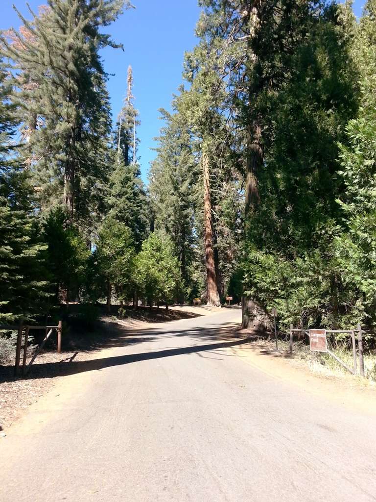 Crystal Springs Campground