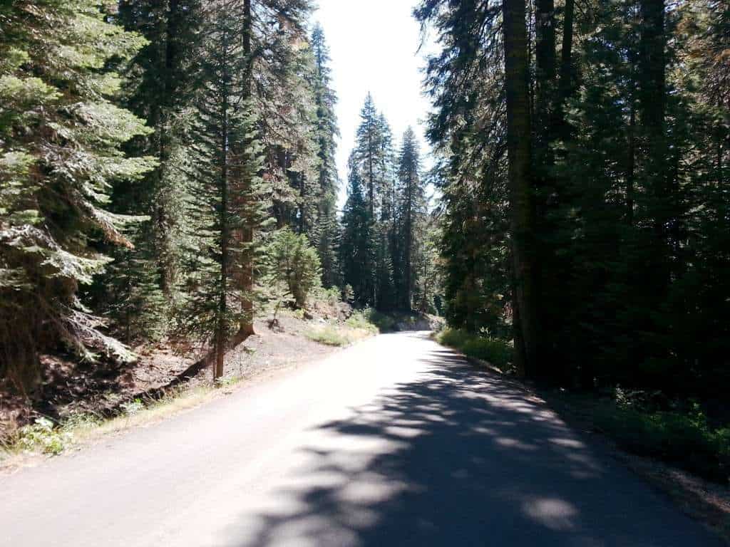 Dorst Creek Campground