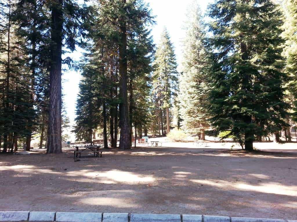 Dorst Creek Campground