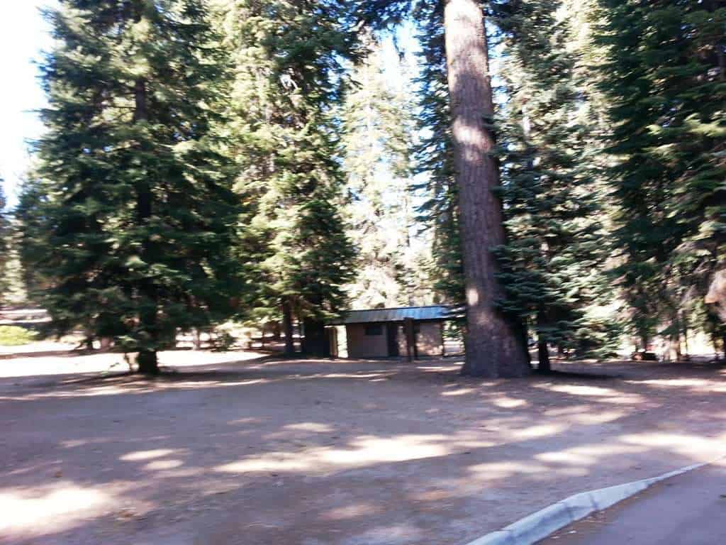 Dorst Creek Campground